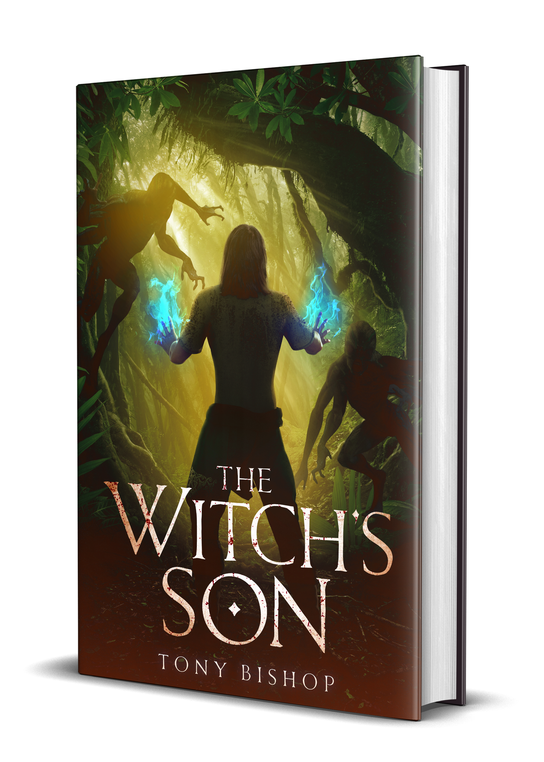 The Witches Son book cover